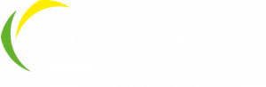 BAUVIS Baustoffhandel - Logo negativ